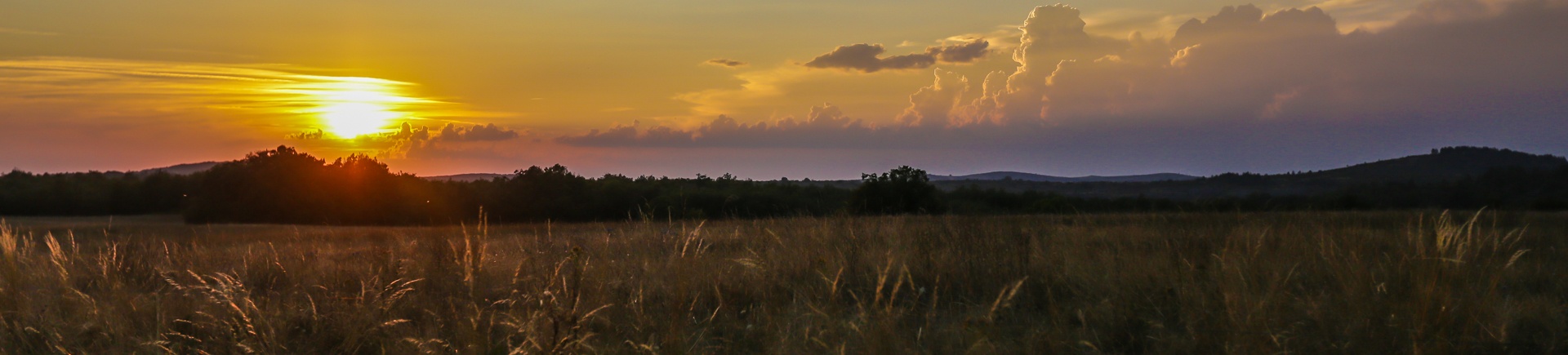 Paysage caussenard